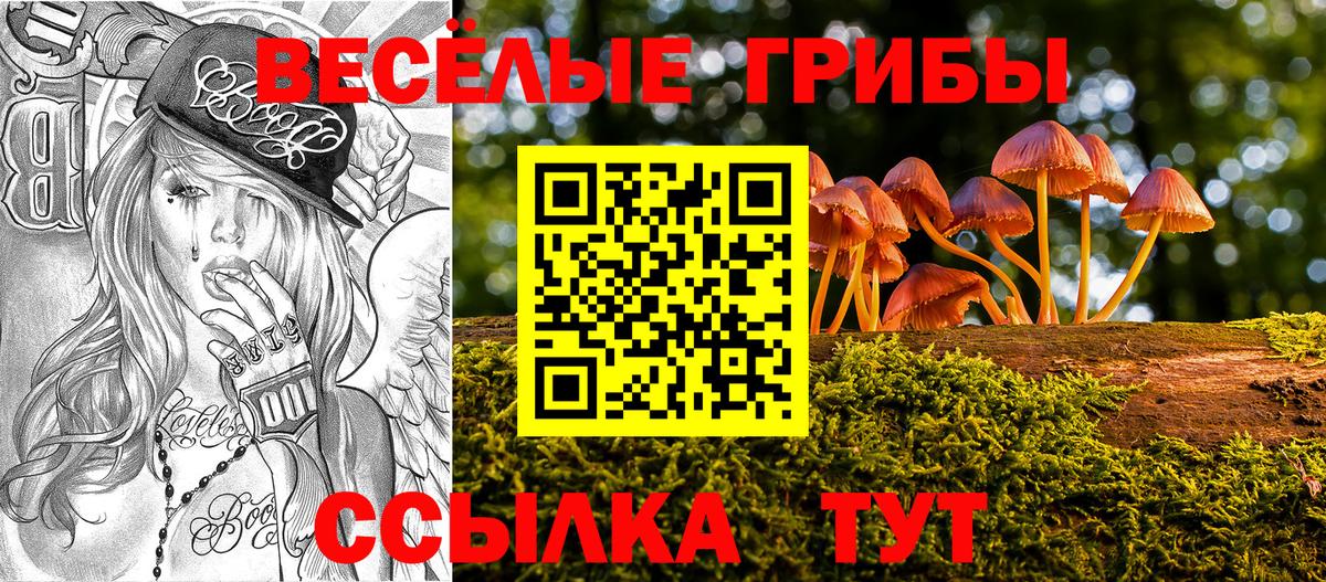 Галлюциногенные грибы Psilocybe Дивногорск